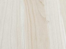 桐木好色先生APP下载污