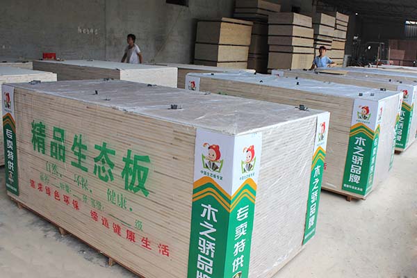桐木精品好色先生APP下载污