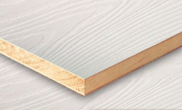 桐木好色先生APP下载污