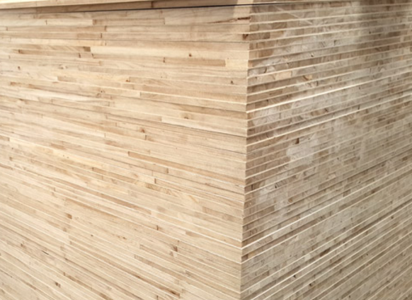 桐木好色先生APP下载污廠家解釋為什麽這種板材會更環保